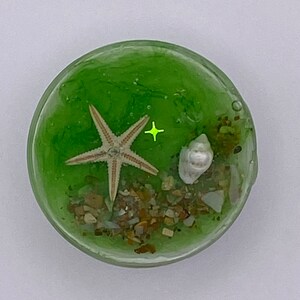 May include: A round, clear resin paperweight with a green background. A starfish, small seashells, and pebbles are embedded within the resin. A small, glowing yellow star is also present. The paperweight is a decorative item.