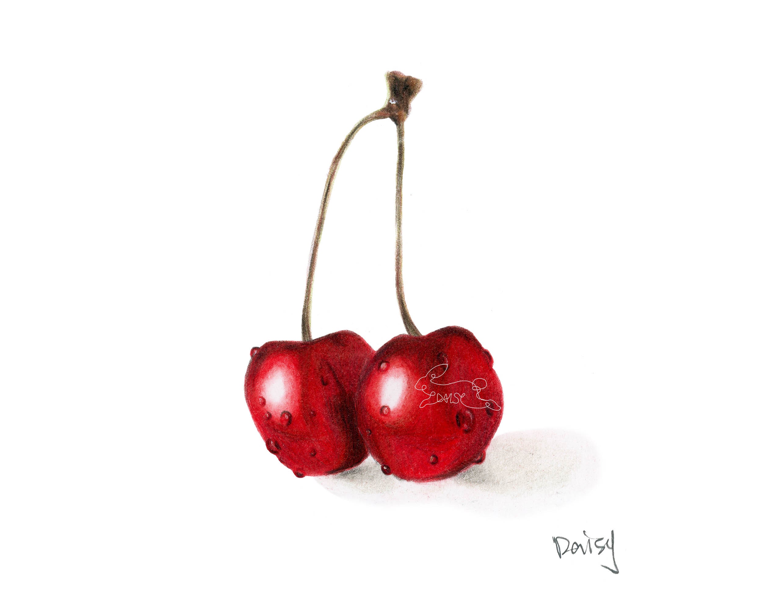 Print of Colored Pencil Drawing of Fruit Cherries Super Etsy