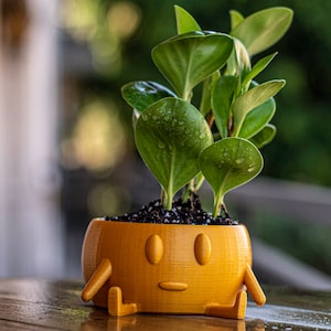 Derp Pot: A Fun Planter pot! great for Succulents, Flowers and Small Plants. built in drainage