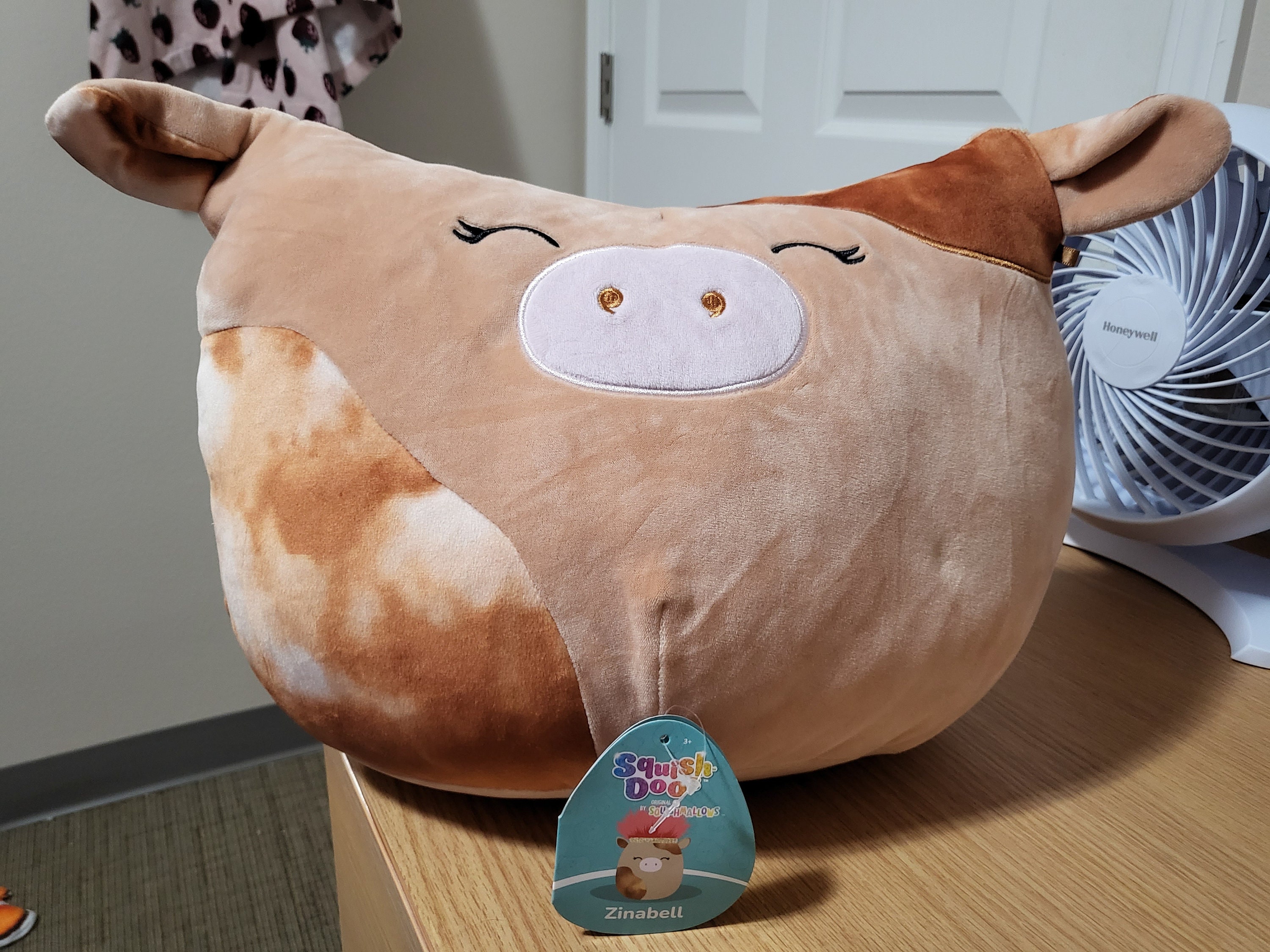 ronnie squishmallow 16