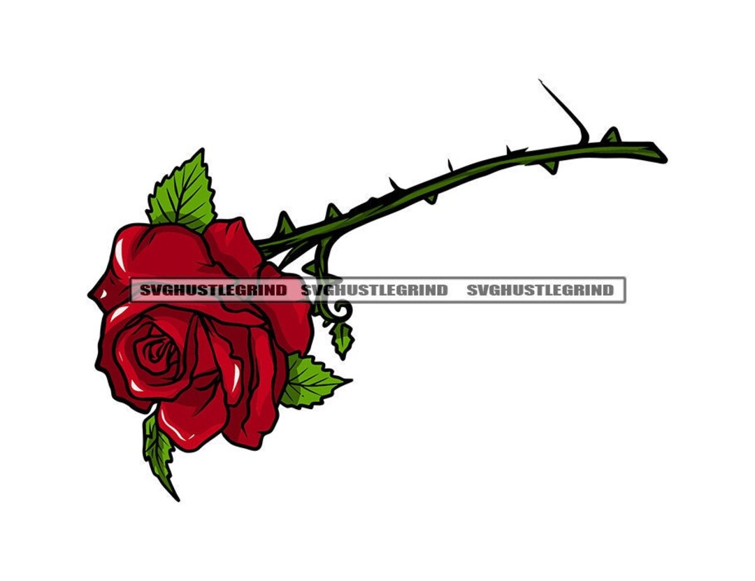 Beautiful Red Rose Blood Red Rose Plant Flower Floral Blossom