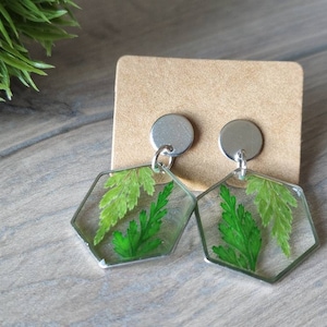 Pressed Fern Resin Hexagon Earrings | Stainless Steel | Stud Setting | Green