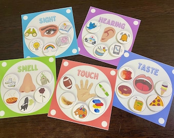 Five Senses Sorting Activity - Printable - Instant Download File