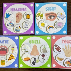 Printable Five Senses Sorting Activity - Fun Learning Tool for Kids ...