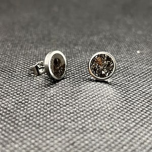 Meteorite Dust Earrings