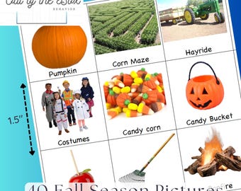 40 Fall Picture Communication Cards