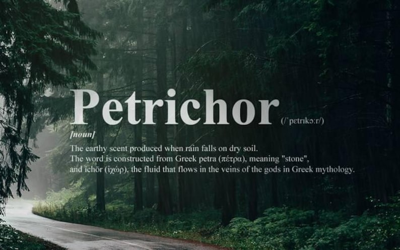 May include: A misty forest path with the word "Petrichor" defined as the earthy scent produced when rain falls on dry soil. The word is constructed from Greek petra, meaning "stone", and ichor, the fluid that flows in the veins of the gods in Greek mythology.