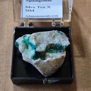 Spangolite Mineral Thumbnail – Rare Copper Sulfate Crystal | Mex-Tex Mine, New Mexico | Blue Collector Gemstone | Thumbnail Specimen