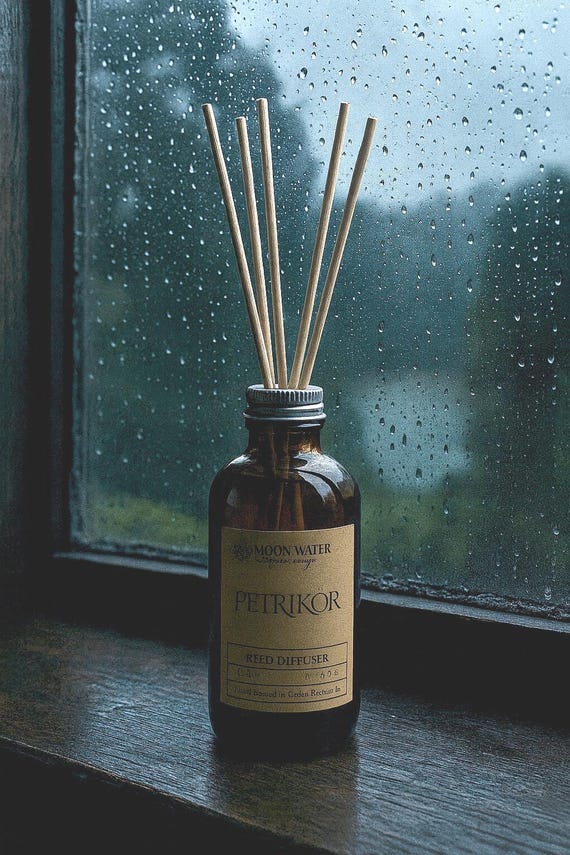 Petrichor Reed Diffuser {The Scent Of Rain} - Earthy Moss Scent Ozone Vibe | Essential Oils, Perfume Candle, Hippie, Unique, Handmade Real