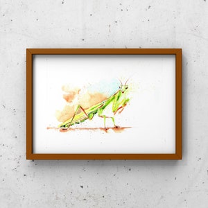 Praying Mantis Nature Watercolor Drawing Download, Nature Art, Bug Painting
