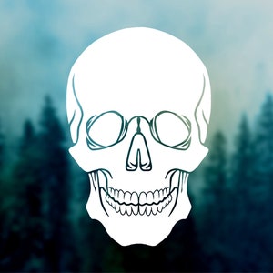Halloween Skull Car Decal | Car Decals, Human Skull Sticker, Durable Waterproof Vinyl Animal Car Sticker, Laptop, Water Bottle