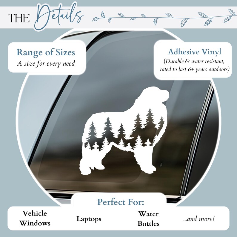 May include: White vinyl sticker of a Bernese Mountain Dog silhouette with a forest scene inside the dog's outline. The sticker is on a car window. The text "THE Details" is at the top of the image. The text "Range of Sizes" is below the text "THE Details". The text "A size for every need" is below the text "Range of Sizes". The text "Adhesive Vinyl" is at the top right of the image. The text "(Durable & water resistant, rated to last 6+ years outdoors)" is below the text "Adhesive Vinyl". The text "Perfect For:" is below the dog silhouette. The text "Vehicle Windows" is below the text "Perfect For:". The text "Laptops" is to the right of the text "Vehicle Windows". The text "Water Bottles" is to the right of the text "Laptops". The text "...and more!" is to the right of the text "Water Bottles".