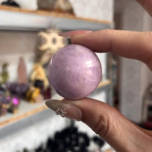 Peut inclure: Une boule de cristal sphérique, violet clair. La boule de cristal est tenue entre deux doigts. L'arrière-plan est flou, avec des étagères et d'autres cristaux visibles. La boule de cristal est de couleur lavande clair.