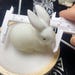 Hand Carved White Jade Rabbit Figurine: Crystal Animal Decor (50mm) - Etsy
