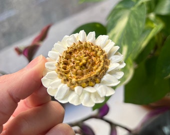 Daisy - Flower Fridge Magnets - Mini 2" - Gifts for Her - Mothers Day Valentine’s Baby Shower - Home Decor