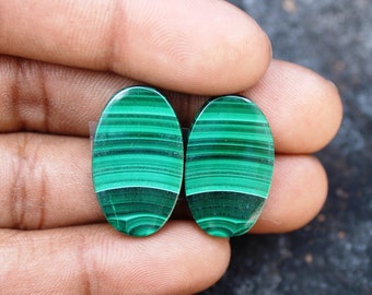 May include: Two oval-shaped green malachite cabochons with a striped pattern. The stones are approximately 1 inch long and 1/2 inch wide.