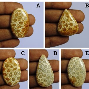 Natural Fossil Coral Cabochon, Agatized Gemstone for Jewelry Making