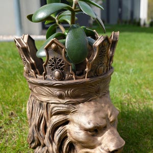 Può includere: Un vaso a forma di testa di leone color bronzo con un design a corona, contenente una pianta verde con foglie ovali. Il vaso è all'aperto su un prato erboso, con una casa sullo sfondo.