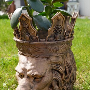 May include: A detailed, bronze-colored lion head planter with a crown design. The planter holds a green succulent plant. The lion's face is intricately sculpted, and the crown features ornate details. The planter is set on a grassy lawn.