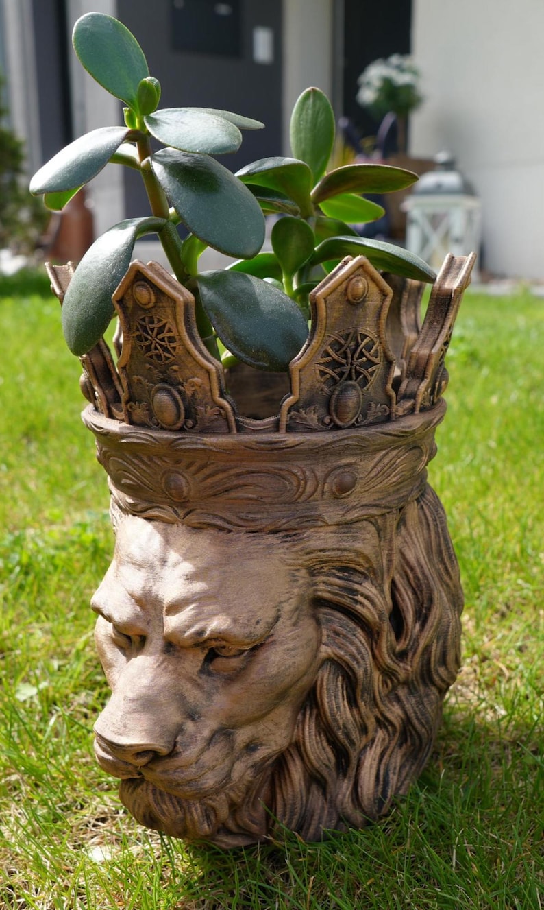May include: A detailed, bronze-colored lion head planter with a crown design. The planter holds a green succulent plant. The lion's face is intricately sculpted, and the crown features ornate details. The planter is set on a grassy lawn.
