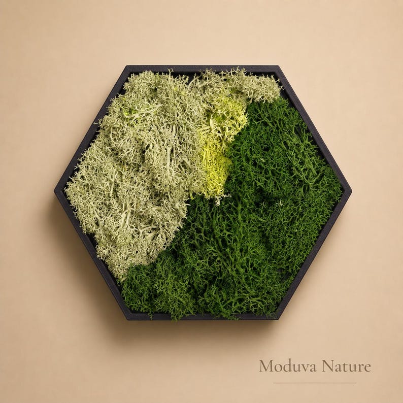 May include: A hexagonal wall art piece featuring preserved moss in shades of green and yellow, set within a black frame. The moss creates a textured, natural design. The artwork is displayed against a neutral background.