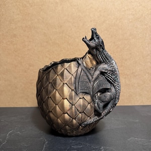 Può includere: Un vaso a forma di uovo di drago color bronzo e nero. L'uovo ha una superficie strutturata e squamosa. Una figura di drago dettagliata emerge dall'uovo, con la bocca aperta. Il vaso è su una superficie scura.