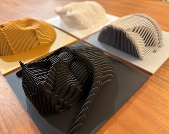 Modern 3D Wall Art – Layered Sculpture Relief | Star Wars | Minimalist Wall Decor | Designer Wall Art | Layer Art | Gift Idea