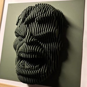 May include: A 3D printed portrait of a person's face, made of layered strips of material, is displayed in a wooden frame. The portrait is in shades of green and appears to be of a person with a wide smile.