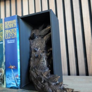 May include: A black bookend with a dragon tail design. The tail is bronze-colored with sharp spikes. The bookend is holding up a row of books with blue and white covers. The books are on a wooden surface.