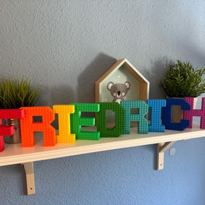 May include: A colorful name sign spelling "FRIEDRICH" in large, block-style letters. The letters are in a rainbow of colors and sit on a white shelf with small potted plants and a koala bear picture.