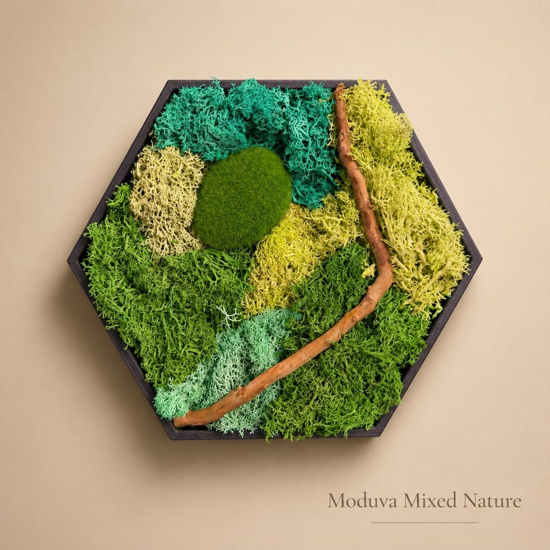 May include: A hexagonal wall art piece featuring a mixed nature design. The artwork showcases various shades of green moss, a central rounded moss element, and a brown branch. The piece is framed in a black wooden frame, with the text "Moduva Mixed Nature".