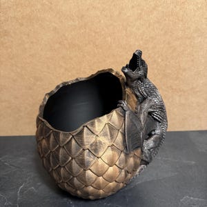 May include: A bronze-colored dragon egg-shaped planter with a black interior. A detailed dragon figure is perched on the side, its mouth open. The egg has a textured, scale-like pattern. The planter is on a dark surface.