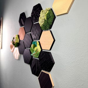 May include: A wall art installation featuring a collection of hexagonal panels in various textures and colors. The panels include black, gold, wood grain, and moss-filled designs, creating a modern and textured aesthetic. The arrangement is mounted on a light blue wall.