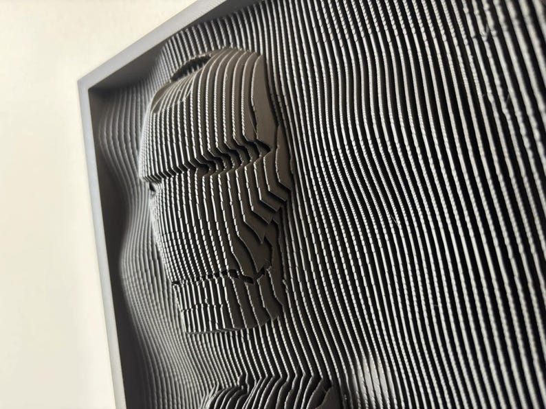 May include: A black and white 3D wall art sculpture of a face, made of layered strips of material. The sculpture is framed and appears to be made of wood or plastic.
