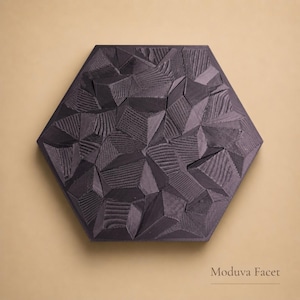 May include: A dark gray, geometric wall art piece with a hexagonal shape. The surface is textured with a faceted design, creating a three-dimensional effect. The piece is labeled "Moduva Facet".
