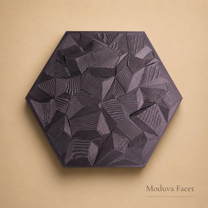 May include: A dark gray, geometric wall art piece with a hexagonal shape. The surface is textured with a faceted design, creating a three-dimensional effect. The piece is labeled "Moduva Facet".