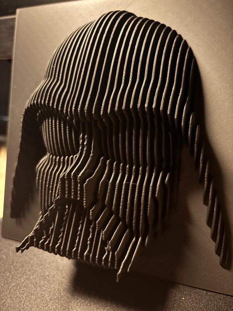 Puede incluir: Una escultura en 3D impresa en negro de la cabeza de Darth Vader. La escultura est&aacute; hecha de muchas piezas finas y superpuestas que crean un efecto texturizado.