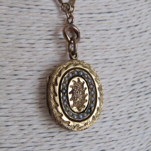 Op de afbeelding: Goudkleurige ovale locket hanger met een fijne ketting. De locket heeft een sierlijk ontwerp met een centraal embleem omringd door kleine, grijze kralen. De buitenrand van de locket heeft een gedetailleerd, gestructureerd patroon.