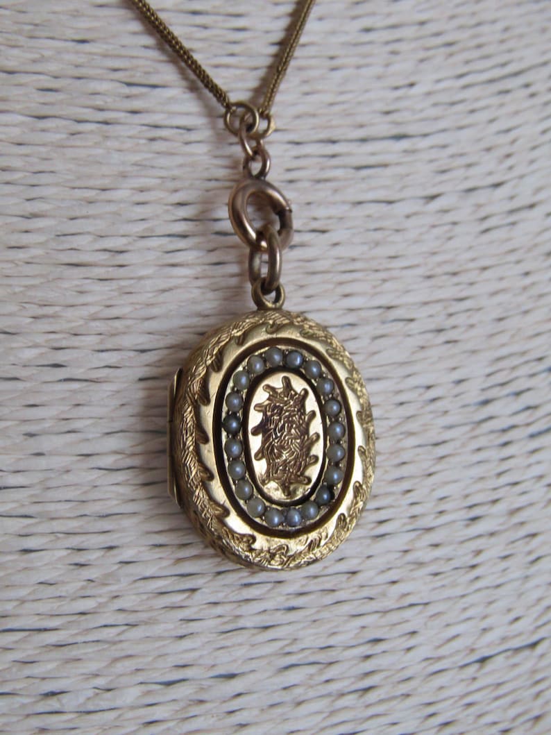 Op de afbeelding: Goudkleurige ovale locket hanger met een fijne ketting. De locket heeft een sierlijk ontwerp met een centraal embleem omringd door kleine, grijze kralen. De buitenrand van de locket heeft een gedetailleerd, gestructureerd patroon.