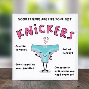 Good Friends Are Like Your Best Knickers: Best Friend Card, Card For Good Friends, Friend Birthday Card image 1