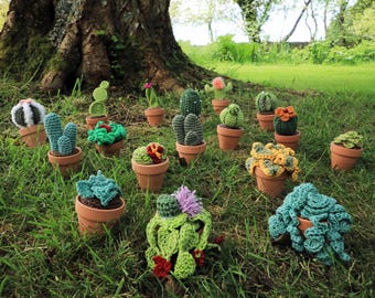 Set of 3 Crochet mini cactus, crochet mini succulent, Crochet Cactus in a terracotta pot, Crochet Succulent in a terracotta pot