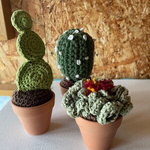 Crochet Cacti Pattern, Cacti Pattern, Crochet Pattern, Mini Cacti - Etsy