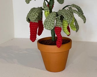 Chilli plant crochet pattern, crochet pattern, pattern for Chilli plant, pdf crochet pattern