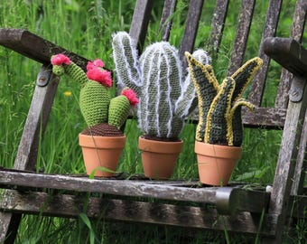 large cacti crochet pattern 4 types, crochet pattern, pattern for 4 large cacti, pdf crochet pattern