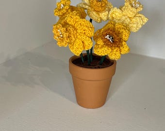 Daffodil crochet pattern, crochet pattern, pattern for Daffodil flowers, pdf crochet pattern