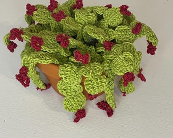 Christmas cacti crochet pattern, crochet pattern, pattern for Christmas cacti, pdf crochet pattern