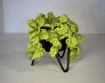 String of pearls crochet pattern, crochet pattern, pattern for String of pearls plant, pdf crochet pattern
