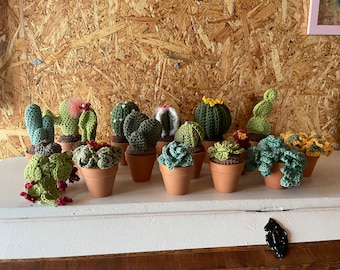 Crochet cacti pattern, cacti pattern, crochet pattern, mini cacti