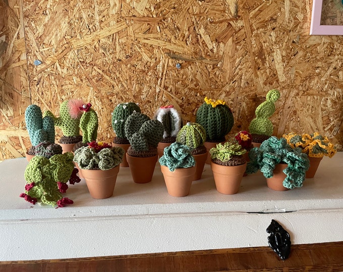 Featured listing image: Crochet cacti pattern - mini cacti