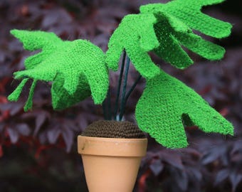Cheese leaf crochet pattern, crochet pattern, pattern for cheese leaf plant, pdf crochet pattern